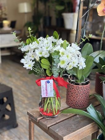 Paşabahçe Vazoda Papatya